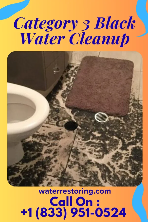 Category 3 Black Water Cleanup in Boonsboro, MD