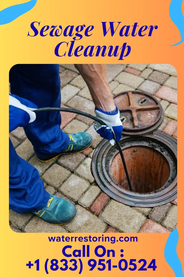 Sewage Water Cleanup in Boonsboro, MD